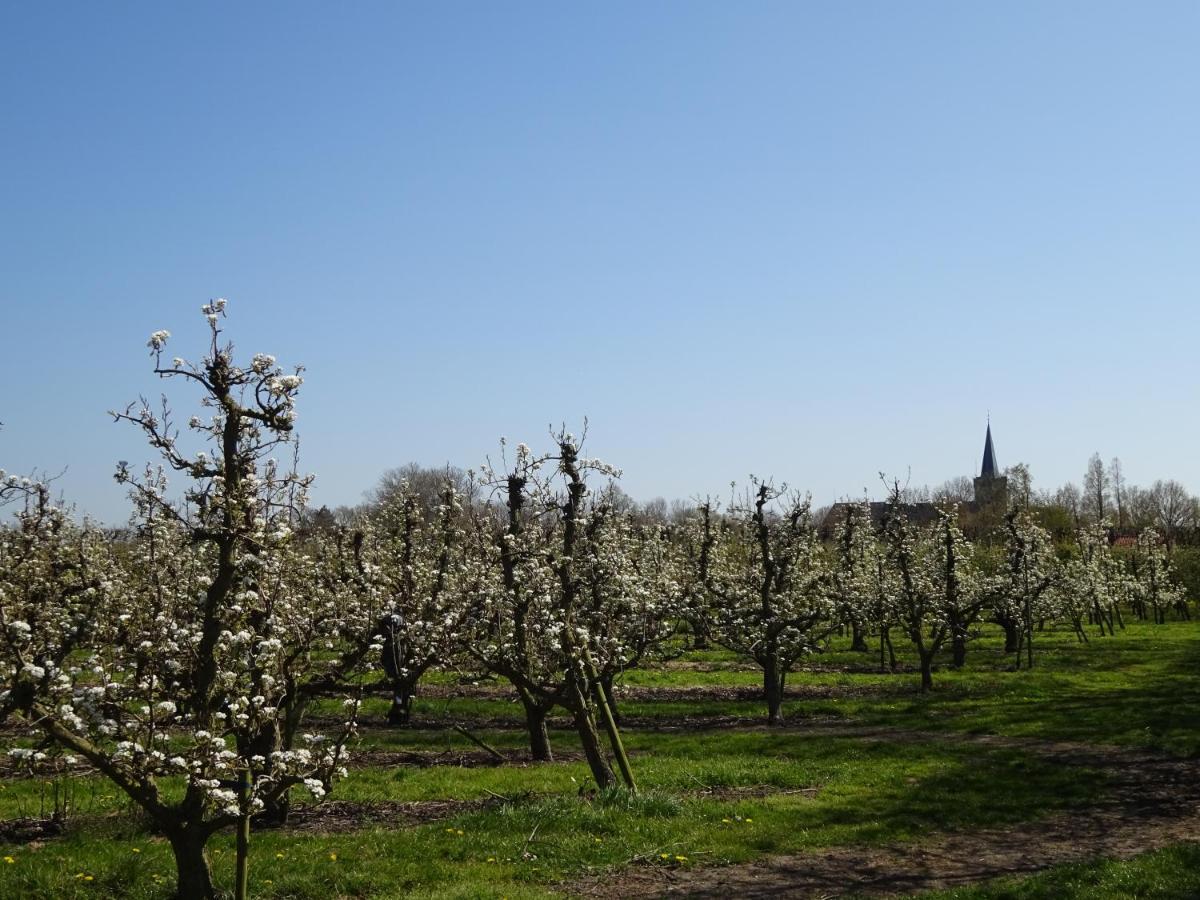 Chezeehoeve - Wemeldinge Exterior foto